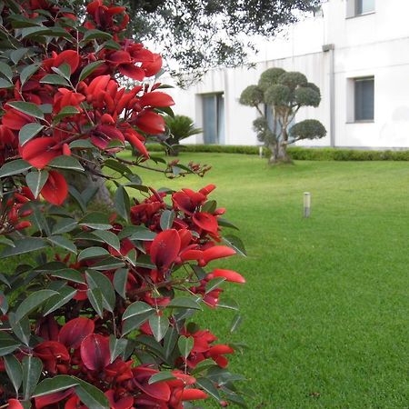 Fiore Dell'Etna Daire Santa Venerina Dış mekan fotoğraf